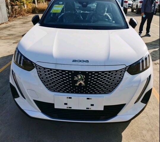 Белый Пежо 2008, объемом двигателя 0 л и пробегом 1 тыс. км за 23000 $, фото 6 на Automoto.ua