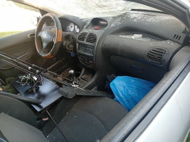 Серый Пежо 206, объемом двигателя 0 л и пробегом 3 тыс. км за 1191 $, фото 4 на Automoto.ua