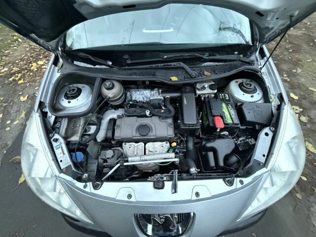 Пежо 206 2009 в Кременчуге на Automoto.ua Серый Пежо 206, объемом двигателя 1.1 л и пробегом 188 тыс. км за 3500 $, фото 23 на Automoto.ua