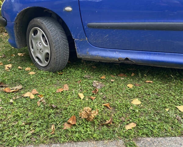 Синий Пежо 206, объемом двигателя 1.1 л и пробегом 250 тыс. км за 2100 $, фото 11 на Automoto.ua