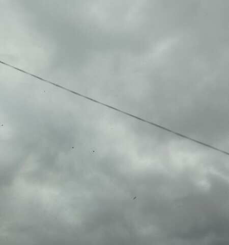 Червоний Пежо 207, об'ємом двигуна 1.4 л та пробігом 230 тис. км за 4500 $, фото 1 на Automoto.ua