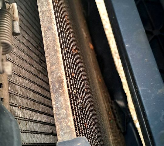 Белый Пежо 301, объемом двигателя 1.6 л и пробегом 168 тыс. км за 5950 $, фото 6 на Automoto.ua