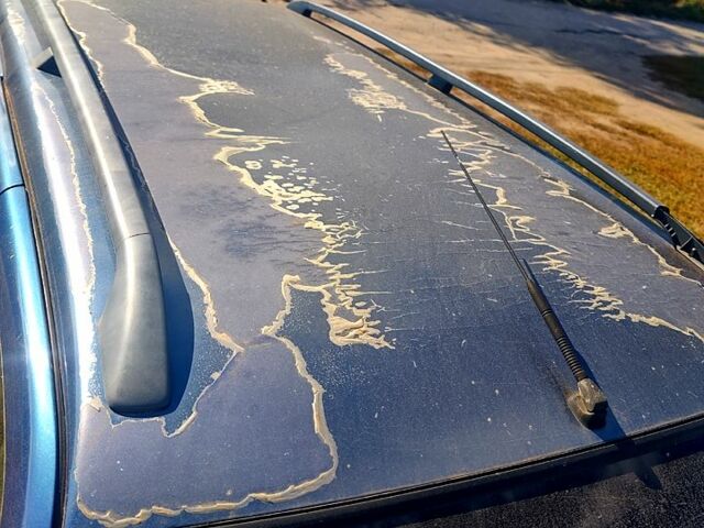 Синий Пежо 306, объемом двигателя 1.6 л и пробегом 200 тыс. км за 1500 $, фото 3 на Automoto.ua