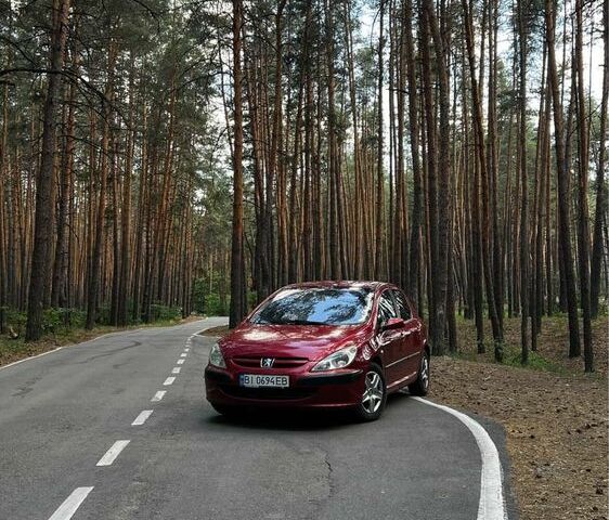 Червоний Пежо 307, об'ємом двигуна 1.4 л та пробігом 199 тис. км за 2900 $, фото 3 на Automoto.ua