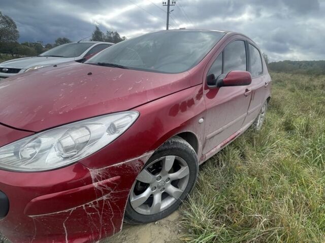 Червоний Пежо 307, об'ємом двигуна 2 л та пробігом 220 тис. км за 1350 $, фото 1 на Automoto.ua