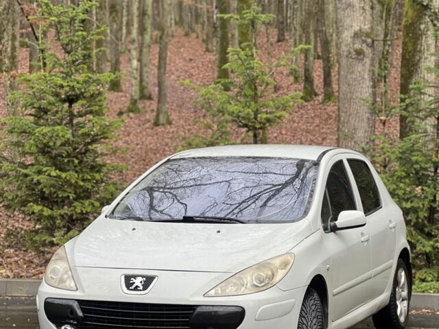 Сірий Пежо 307, об'ємом двигуна 2 л та пробігом 275 тис. км за 3500 $, фото 15 на Automoto.ua