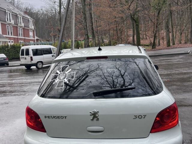 Сірий Пежо 307, об'ємом двигуна 2 л та пробігом 275 тис. км за 3500 $, фото 13 на Automoto.ua