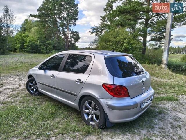 Серый Пежо 307, объемом двигателя 2 л и пробегом 185 тыс. км за 4400 $, фото 10 на Automoto.ua