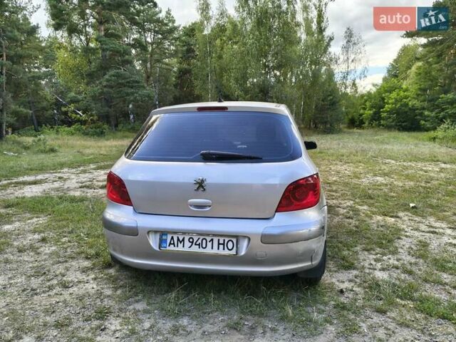 Серый Пежо 307, объемом двигателя 2 л и пробегом 185 тыс. км за 4400 $, фото 13 на Automoto.ua