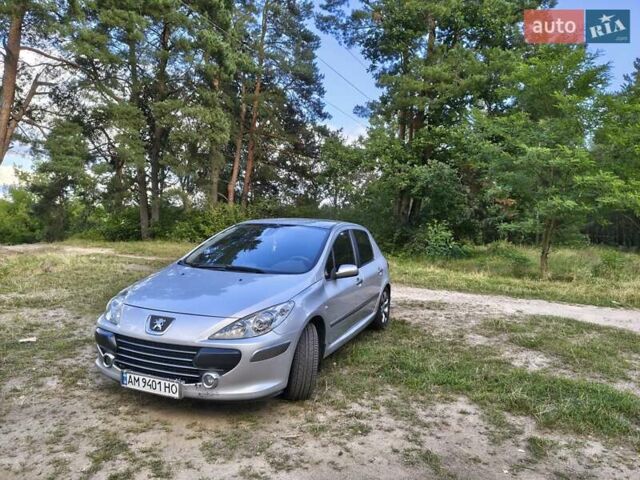 Серый Пежо 307, объемом двигателя 2 л и пробегом 185 тыс. км за 4400 $, фото 8 на Automoto.ua