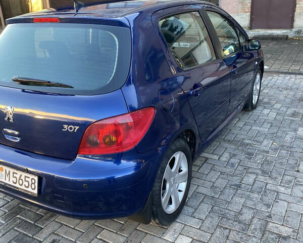 Синій Пежо 307, об'ємом двигуна 1.6 л та пробігом 192 тис. км за 4600 $, фото 5 на Automoto.ua