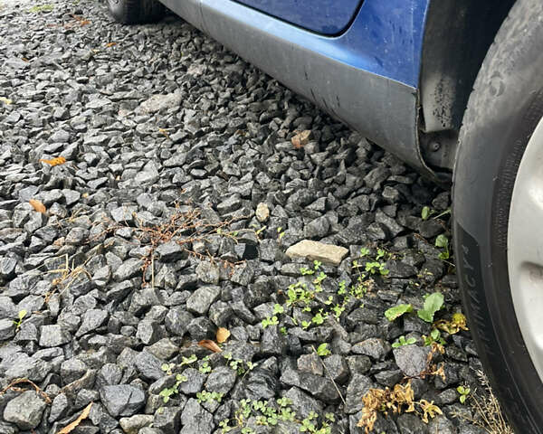 Синий Пежо 307, объемом двигателя 1.6 л и пробегом 299 тыс. км за 2500 $, фото 9 на Automoto.ua