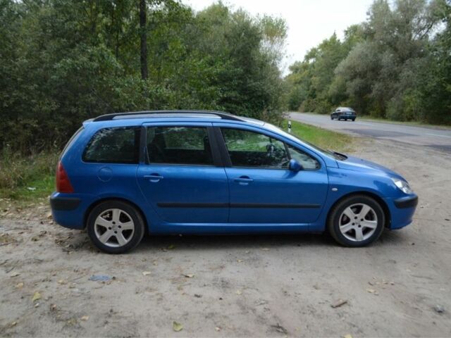 Синий Пежо 307, объемом двигателя 2 л и пробегом 3 тыс. км за 2050 $, фото 8 на Automoto.ua