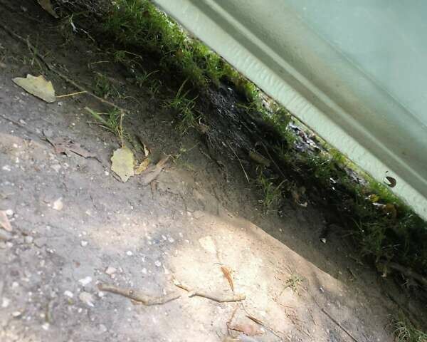 Зеленый Пежо 307, объемом двигателя 1.6 л и пробегом 275 тыс. км за 3500 $, фото 3 на Automoto.ua