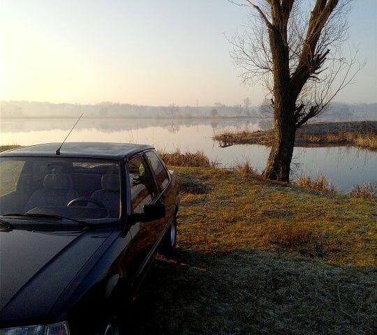 Сірий Пежо 309, об'ємом двигуна 0.13 л та пробігом 170 тис. км за 705 $, фото 4 на Automoto.ua