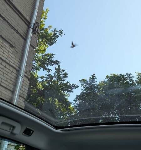 Синий Пежо 508, объемом двигателя 1.6 л и пробегом 168 тыс. км за 6900 $, фото 14 на Automoto.ua