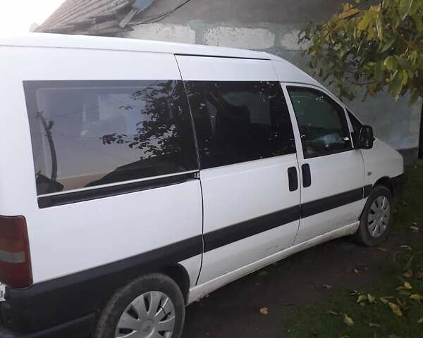 Пежо Эксперт груз.-пасс. 2005 в Сарате на Automoto.ua Белый Пежо Эксперт груз.-пасс., объемом двигателя 1.87 л и пробегом 251 тыс. км за 3600 $, фото 1 на Automoto.ua