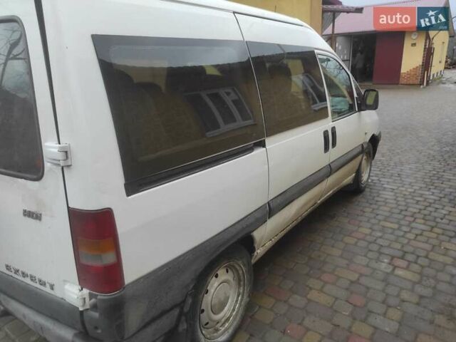Белый Пежо Эксперт груз.-пасс., объемом двигателя 2 л и пробегом 336 тыс. км за 4900 $, фото 8 на Automoto.ua
