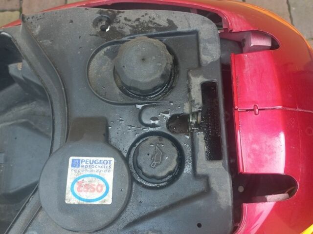 Пежо Другая, объемом двигателя 50 л и пробегом 0 тыс. км за 263 $, фото 6 на Automoto.ua