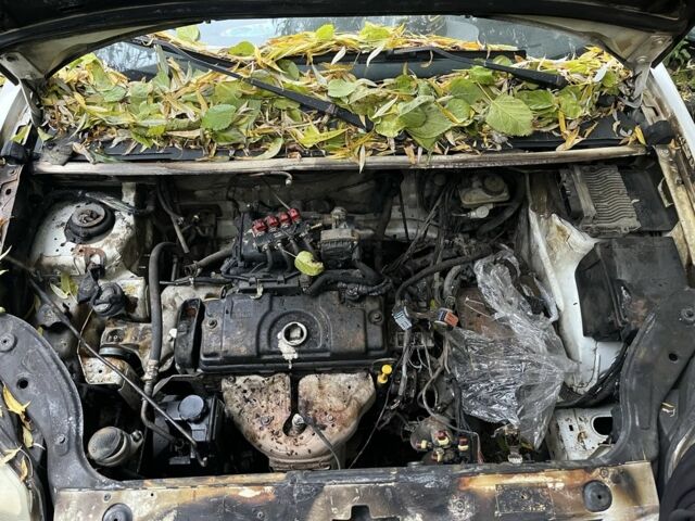 Белый Пежо Partner, объемом двигателя 1.4 л и пробегом 200 тыс. км за 1500 $, фото 5 на Automoto.ua