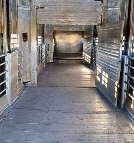 Зелений Pezzaioli SBA, об'ємом двигуна 0 л та пробігом 300 тис. км за 40000 $, фото 6 на Automoto.ua