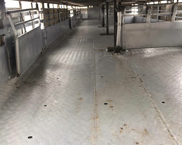 Серый Pezzaioli Zorzi, объемом двигателя 0 л и пробегом 500 тыс. км за 9900 $, фото 8 на Automoto.ua