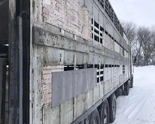 Серый Pezzaioli Zorzi, объемом двигателя 0 л и пробегом 500 тыс. км за 9900 $, фото 16 на Automoto.ua