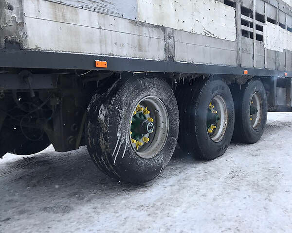 Серый Pezzaioli Zorzi, объемом двигателя 0 л и пробегом 500 тыс. км за 9900 $, фото 4 на Automoto.ua