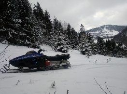 Поларіс Інша, об'ємом двигуна 0.55 л та пробігом 0 тис. км за 1800 $, фото 1 на Automoto.ua