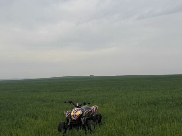 Поларис Другая, объемом двигателя 90 л и пробегом 0 тыс. км за 1000 $, фото 5 на Automoto.ua