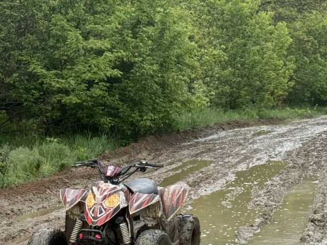 Поларис Другая, объемом двигателя 90 л и пробегом 0 тыс. км за 1000 $, фото 7 на Automoto.ua