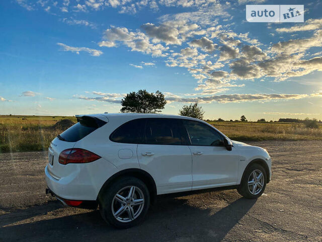 Білий Порше Cayenne, об'ємом двигуна 3 л та пробігом 121 тис. км за 23600 $, фото 1 на Automoto.ua