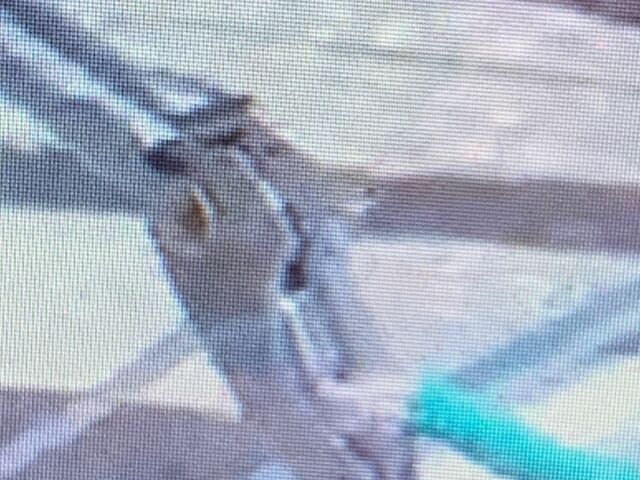 Черный Порше Каен, объемом двигателя 4.8 л и пробегом 150 тыс. км за 12500 $, фото 9 на Automoto.ua