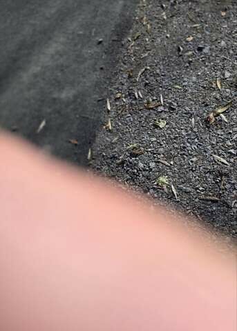 Синий Порше Каен, объемом двигателя 4 л и пробегом 51 тыс. км за 150000 $, фото 20 на Automoto.ua