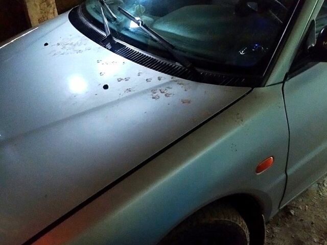 Серый Протон 415, объемом двигателя 1.5 л и пробегом 374 тыс. км за 2000 $, фото 7 на Automoto.ua