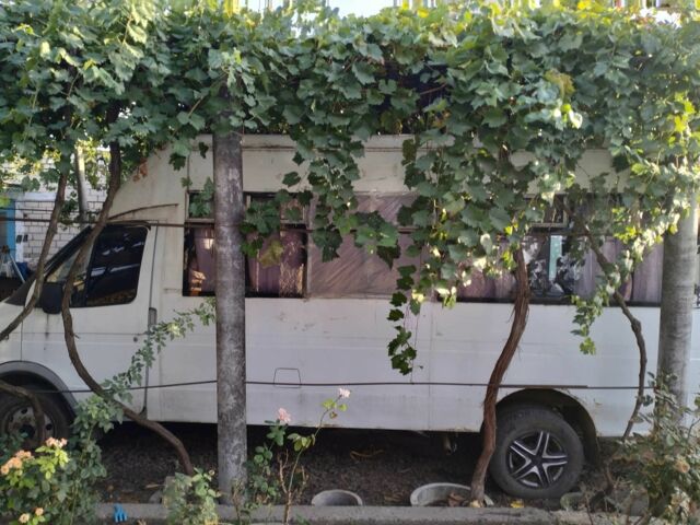 РУТА Рута, об'ємом двигуна 0 л та пробігом 0 тис. км за 1500 $, фото 3 на Automoto.ua