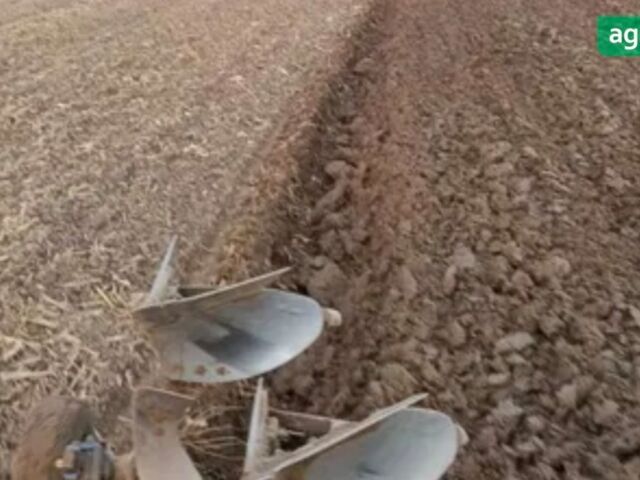 РебіВерк Стар, об'ємом двигуна 0 л та пробігом 0 тис. км за 3550 $, фото 2 на Automoto.ua