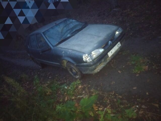 Серый Рено 19, объемом двигателя 1.4 л и пробегом 150 тыс. км за 250 $, фото 6 на Automoto.ua