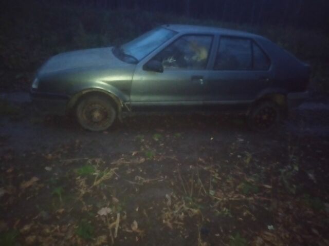 Серый Рено 19, объемом двигателя 1.4 л и пробегом 150 тыс. км за 250 $, фото 4 на Automoto.ua