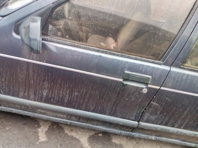 Серый Рено 19, объемом двигателя 1.4 л и пробегом 1000 тыс. км за 597 $, фото 3 на Automoto.ua