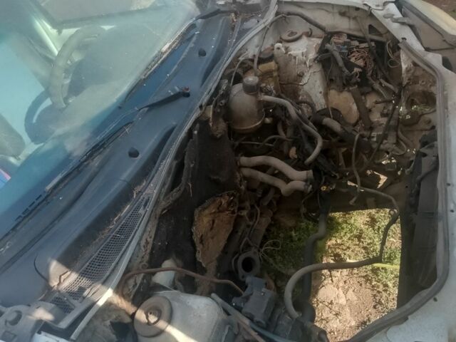 Білий Рено 5, об'ємом двигуна 1 л та пробігом 1 тис. км за 950 $, фото 4 на Automoto.ua