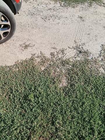 Червоний Рено Каптур, об'ємом двигуна 1.46 л та пробігом 168 тис. км за 15900 $, фото 7 на Automoto.ua