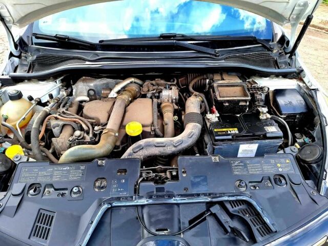 Белый Рено Клио, объемом двигателя 1.5 л и пробегом 232 тыс. км за 6499 $, фото 9 на Automoto.ua