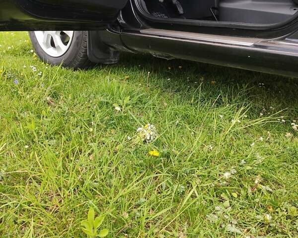 Черный Рено Клио, объемом двигателя 1.5 л и пробегом 126 тыс. км за 6500 $, фото 14 на Automoto.ua