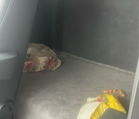 Рено Інша, об'ємом двигуна 0 л та пробігом 0 тис. км за 12861 $, фото 5 на Automoto.ua