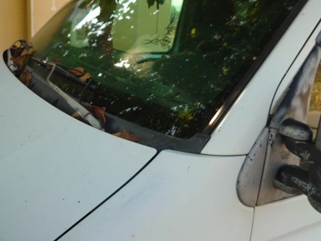 Рено Другая 2001 в Сторожинце на Automoto.ua Рено Другая, объемом двигателя 0 л и пробегом 0 тыс. км за 4500 $, фото 1 на Automoto.ua