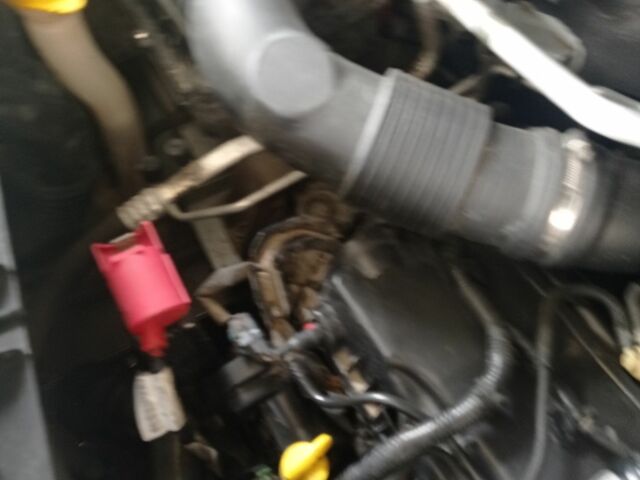 Рено Другая, объемом двигателя 0 л и пробегом 0 тыс. км за 329 $, фото 6 на Automoto.ua