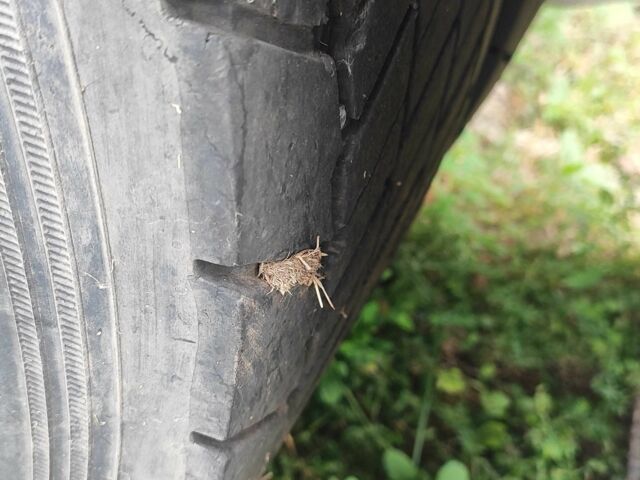 Рено Другая, объемом двигателя 0 л и пробегом 0 тыс. км за 7500 $, фото 4 на Automoto.ua