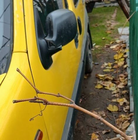 Жовтий Рено Інша, об'ємом двигуна 1.5 л та пробігом 300 тис. км за 2200 $, фото 2 на Automoto.ua