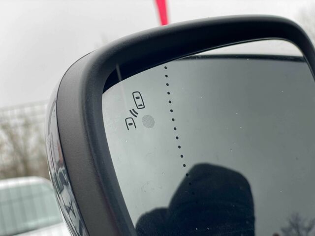 Серый Рено Kadjar, объемом двигателя 0 л и пробегом 147 тыс. км за 19999 $, фото 9 на Automoto.ua